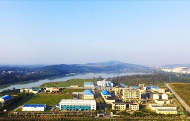 湖南有色郴州氟化學(xué)招標(biāo)采購平臺解決方案